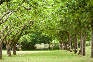 Photo 69- click for photo gallery